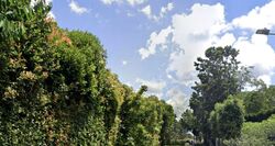 Victoria Park Close (D10), Detached #510840221